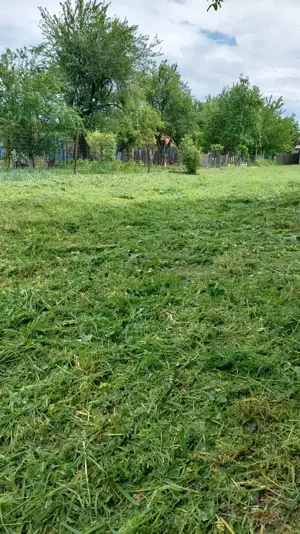 Teren intravilan, 1000 mp, Iezureni Gorj - imagine 2