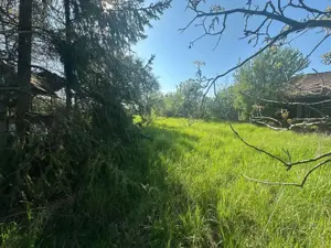 Casa Individuala Ozun Covasna teren 3200 mp - imagine 15