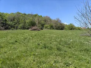 Teren intravilan 1400 m2 în Curteni, Sântana de Mureș - la doar 10 minute de centrul Targu Mures - imagine 5