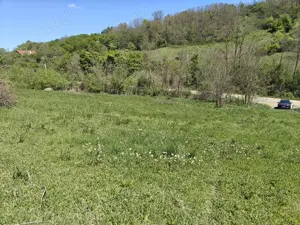 Teren intravilan 1400 m2 în Curteni, Sântana de Mureș - la doar 10 minute de centrul Targu Mures - imagine 6