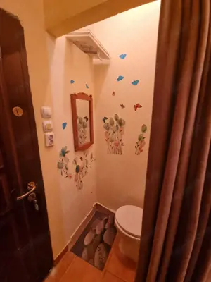 Cartier Teiul Doamnei Str Ghica Tei Apart Parter 62 mp pt firma - imagine 10