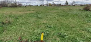 Teren intravilan, la soseaua nationala DN2B - imagine 3