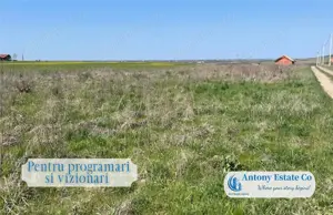 Teren  intravilan de vanzare Paleu - imagine 4