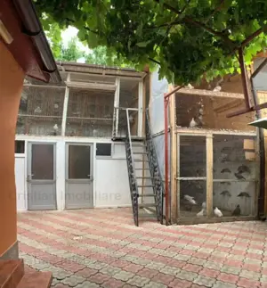 Casa Pretabila 2 familii teren 400 mp deschidere 12 m Brailita - imagine 5 Casa Pretabila 2 familii teren 400 mp deschidere 12 m Brailita - imagine 5