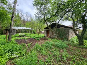 Casa de vacanta Baratca, comuna Paulis - imagine 11