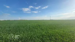 Teren arabil 10.000 mp, Calea Sagului DN 59