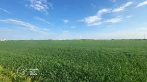 Teren arabil 10.000 mp, Calea Sagului DN 59 - imagine 2