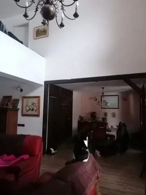 Casa spatioasa Traian  - imagine 9