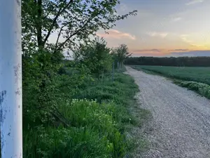 Terenuri de vanzare Ciolpani,sat Piscu,zona linistita,fara tranzit,aproape de padurea Scrovistea. - imagine 15