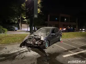 Rable Auto Defecte Avariate