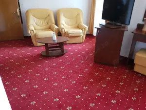 Predeal - Inchiriez PENSIUNE de 1000 MP pe Str. TREI BRAZI nr. 64 - imagine 5