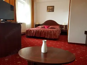 Predeal - Inchiriez PENSIUNE de 1000 MP pe Str. TREI BRAZI nr. 64 - imagine 4