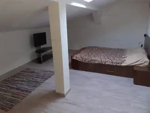 1100mp util IMENSA VILA P+1+M+ 2 spatii comerciale, zona Centrala - imagine 17