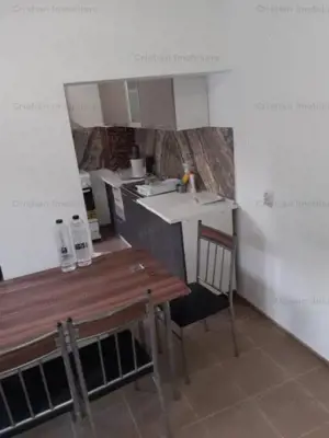 1100mp util IMENSA VILA P+1+M+ 2 spatii comerciale, zona Centrala - imagine 19