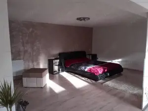 1100mp util IMENSA VILA P+1+M+ 2 spatii comerciale, zona Centrala - imagine 16