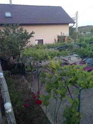 Casa pe malul lacului Paleu – teren 510 mp -  priveliste  deosebita - imagine 2