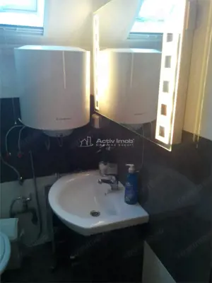 Casa pe malul lacului Paleu – teren 510 mp -  priveliste  deosebita - imagine 8