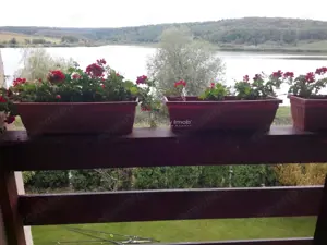 Casa pe malul lacului Paleu – teren 510 mp -  priveliste  deosebita