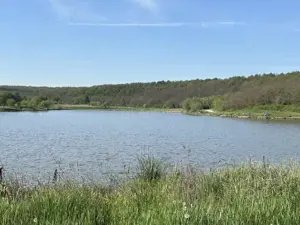 Casa pe malul lacului Paleu – teren 510 mp -  priveliste  deosebita - imagine 18