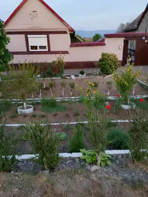 Vând casă în com.Gradinari jud.caras severin