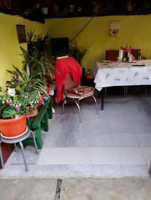 Vând casă în com.Gradinari jud.caras severin - imagine 3