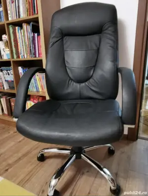 Scaun directorial  - imagine 2