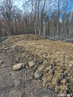 Teren de vânzare în comuna Taut Judetul Arad 500 m2 - imagine 5