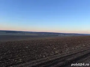 Vând teren extravilan în Pișchia, aproape de barajul Pișchia  - imagine 4