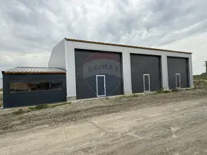 Service de închiriat Podari zona industriala