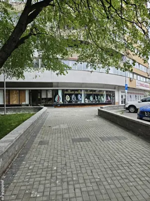 spatiu de inchiriat Radauti - imagine 2