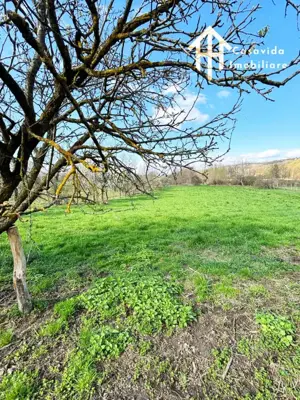 Casă de vânzare în comuna Fârdea, județul Timiș  - imagine 11