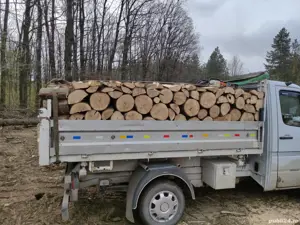 SC vinde lemn de foc Fag uscate sau verzi  - imagine 3