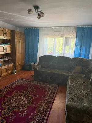 Proprietar,vind casă cu teren,acte la zi,situată în sat Paltinisu comuna Căzănești,judet Mehedinți  - imagine 7