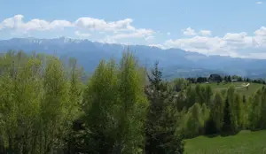 Vanzare 1266 mp teren superb Cheile Rasnoavei la munte langa padure si pensiuni - imagine 4