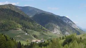 Vanzare 1266 mp teren superb Cheile Rasnoavei la munte langa padure si pensiuni - imagine 3