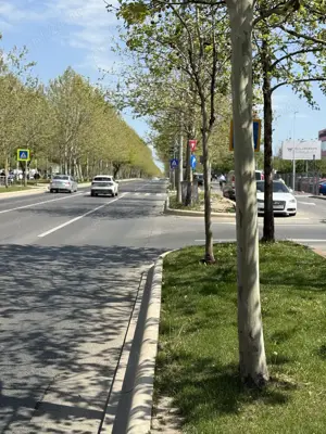 Theodor Pallady ! Pozitie top ! Casa + teren , str. Drumul Lunca Jaristei ! - imagine 4