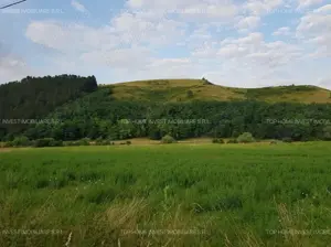 Exclusivitate! Teren intravilan in Luna de sus! - imagine 6