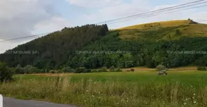 Exclusivitate! Teren intravilan in Luna de sus! - imagine 5