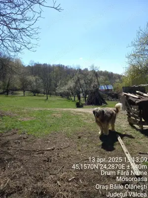 Teren 2600 m.p. Mosoroasa - Olănești, jud. Vâlcea