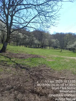 Teren 2600 m.p. Mosoroasa - Olănești, jud. Vâlcea - imagine 3