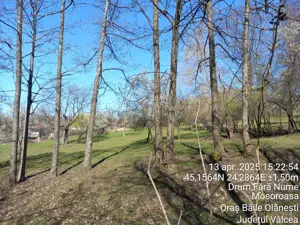 Teren 2600 m.p. Mosoroasa - Olănești, jud. Vâlcea - imagine 4