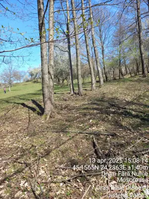 Teren 2600 m.p. Mosoroasa - Olănești, jud. Vâlcea - imagine 7