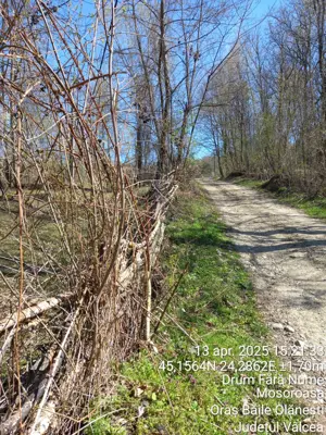 Teren 2600 m.p. Mosoroasa - Olănești, jud. Vâlcea - imagine 5