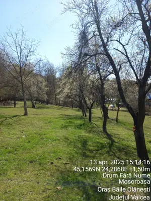 Teren 2600 m.p. Mosoroasa - Olănești, jud. Vâlcea - imagine 6