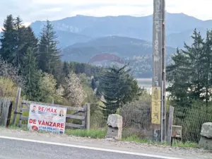 Teren cu vedere la Muntele Ceahlau - imagine 14