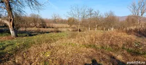 Teren intravilan 5500 mp2 - imagine 4