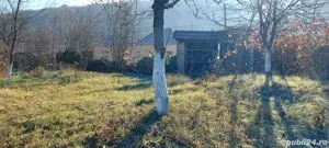 Teren intravilan 5500 mp2 - imagine 3