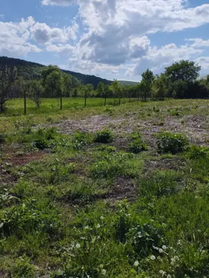 Casa la țară  - imagine 4