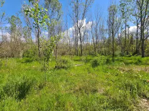 Teren de vanzare / Dem Radulescu - imagine 9