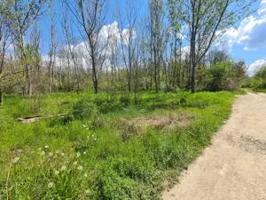 Teren de vanzare / Dem Radulescu - imagine 2